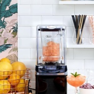 SANTOS BRUSHLESS BLENDER 62